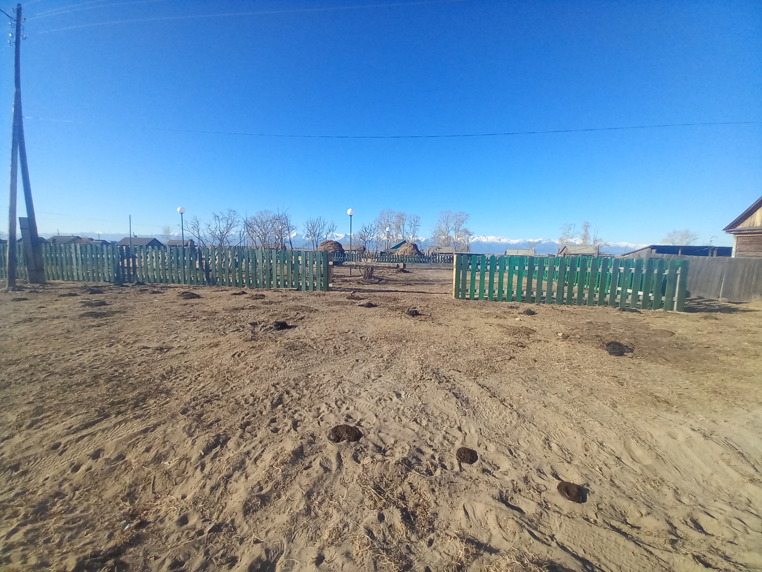 Картинка.