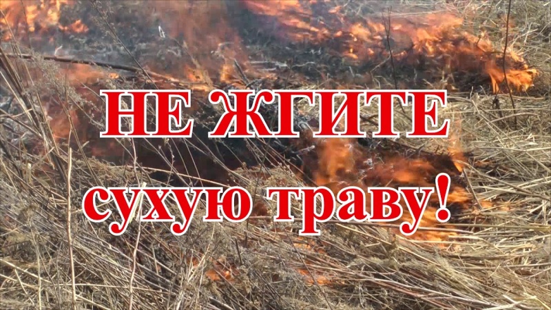 Не поджигайте сухую траву!.