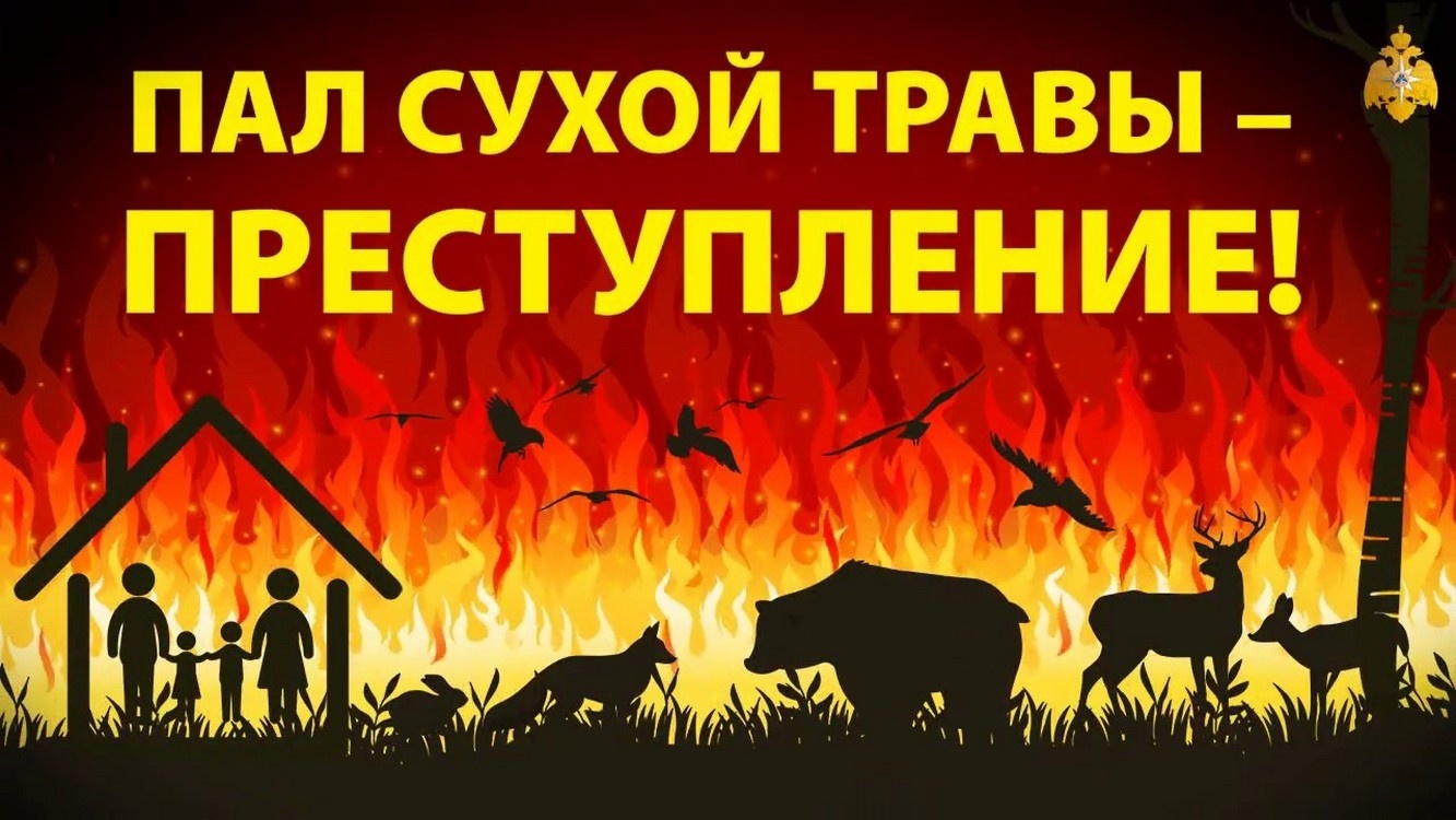 Весенние палы – преступление против природы! 🚫🔥.